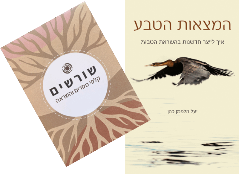 מארז ספר וקלפי שורשים