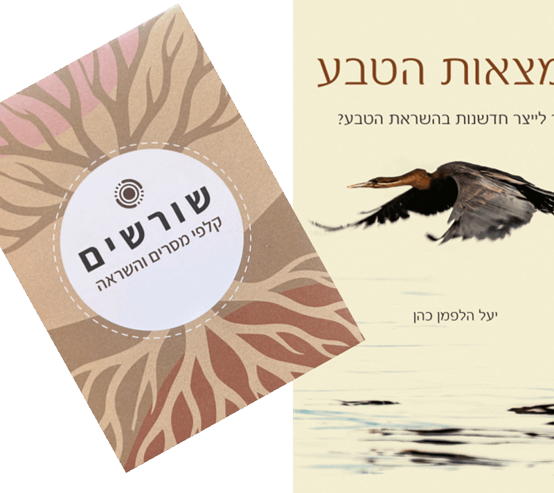 מארז ספר וקלפי שורשים