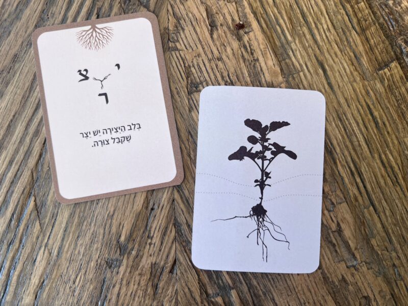 ⁦שורשים - קלפי מסרים והשראה⁩ – תמונה ⁦2⁩