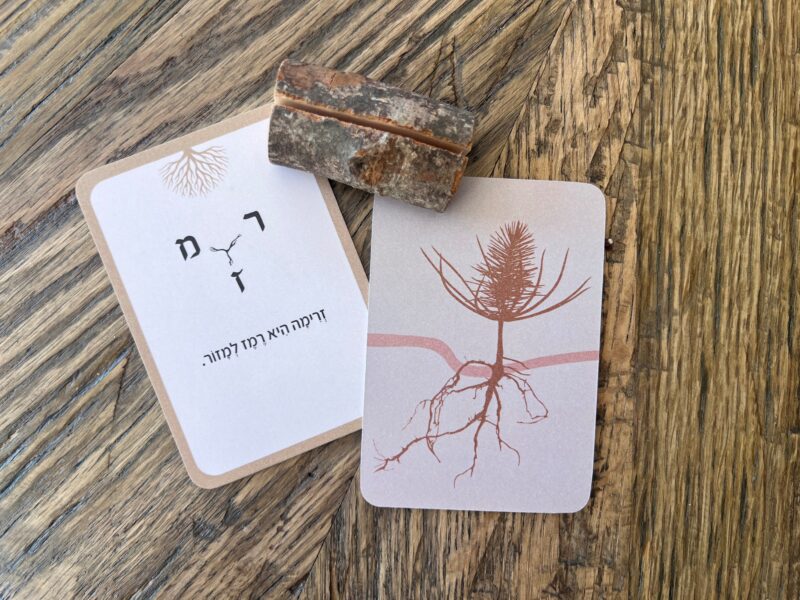 ⁦שורשים - קלפי מסרים והשראה⁩ – תמונה ⁦4⁩