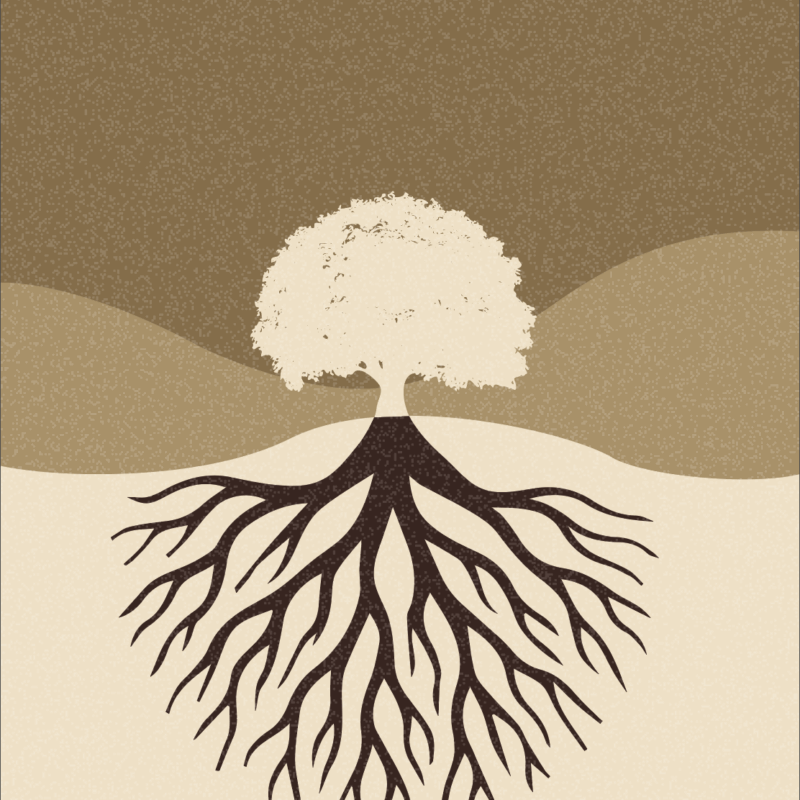 סדנת שורשים